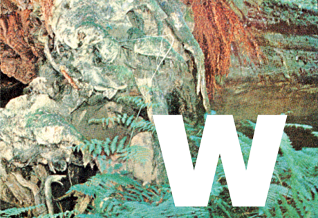 portada_w