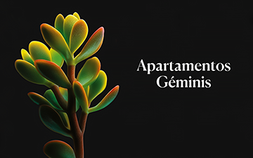‘Apartamentos Géminis’ de Julio Hardisson: una ternura posible en un mundo de exposición permanente